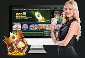 6bb